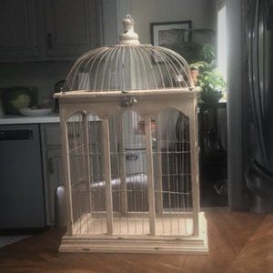 Bird Cage--Gorgeous!